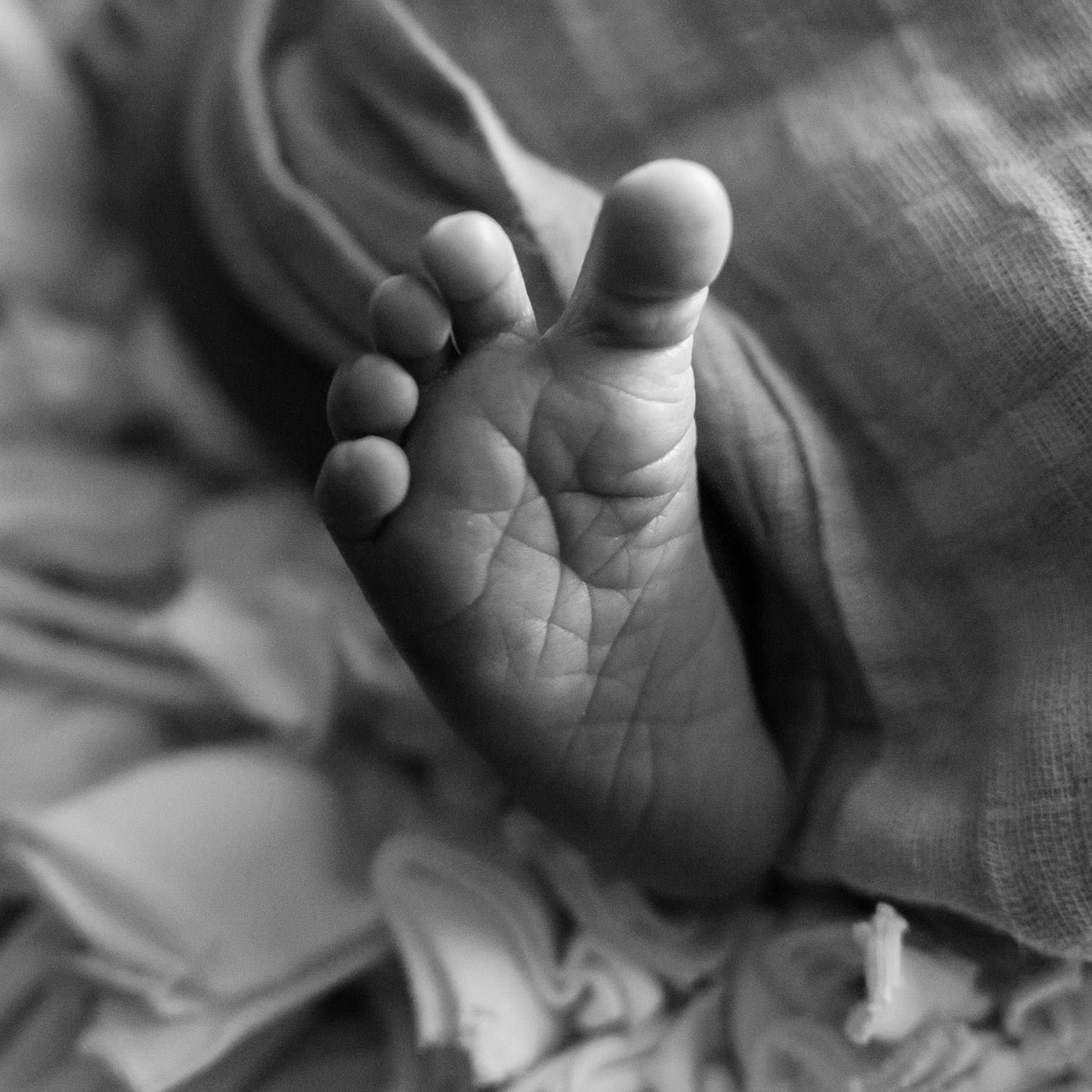 newborn baby foot, Livonia baby photographer