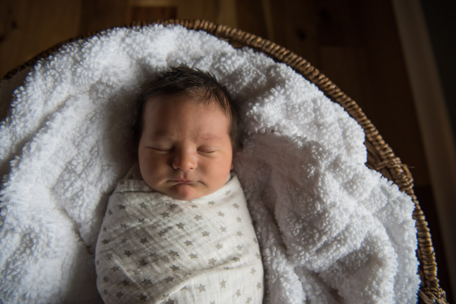 newborn baby boy wrapped in a blanket, Northville Photographer