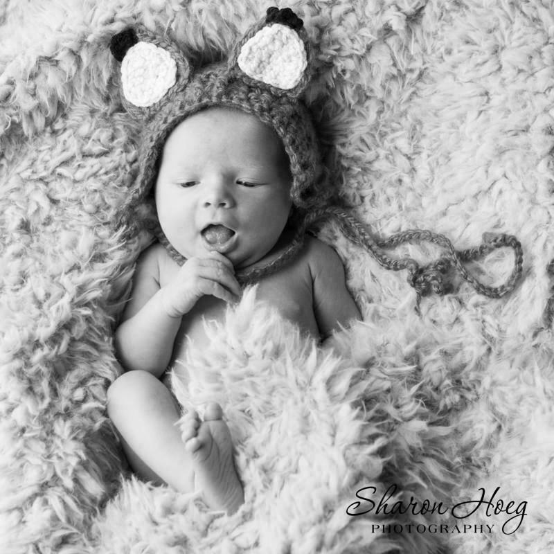 baby girl in fox hat, South Lyon MI Newborn Photographer