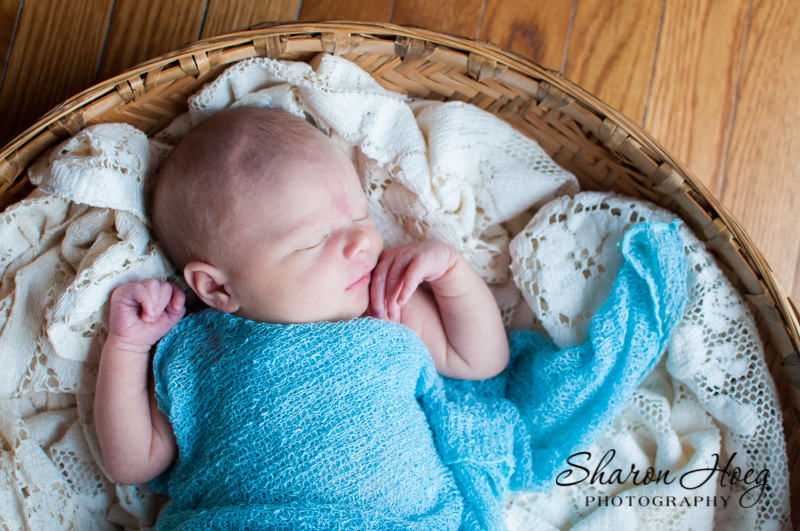 Sweet newborn girl in blue wrap, South Lyon Baby Photography