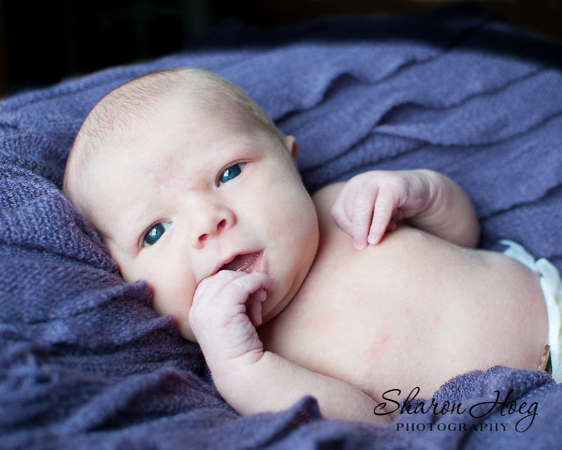 happy awake newborn girl, South Lyon Newborn Photographer