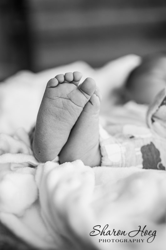 Newborn Foot close up, South Lyon Baby Photography