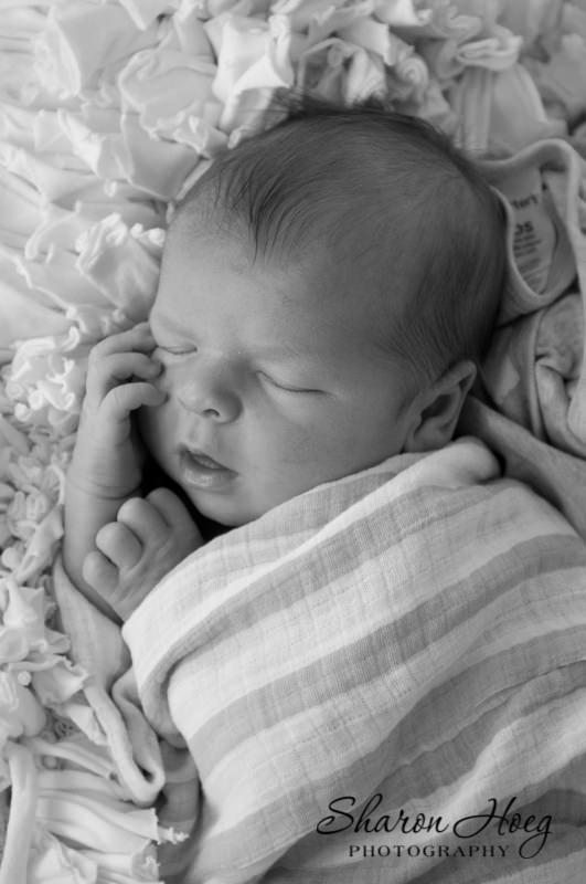 close up of newborn black and white portrait, South Lyon Newborn Portrait Photography
