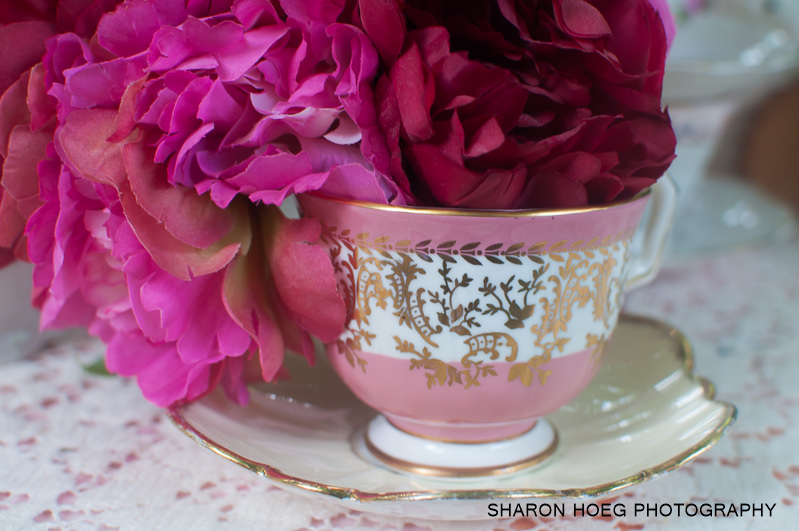 beautiful red and pink flowers in an ornate teacup, Metro Detroit Tea Party Photography