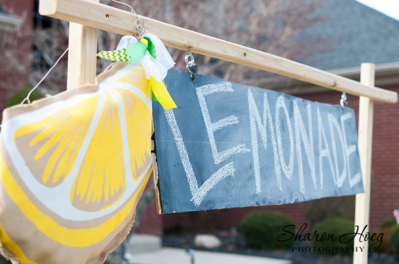 lemonade chalkboard sign, south lyon photographer