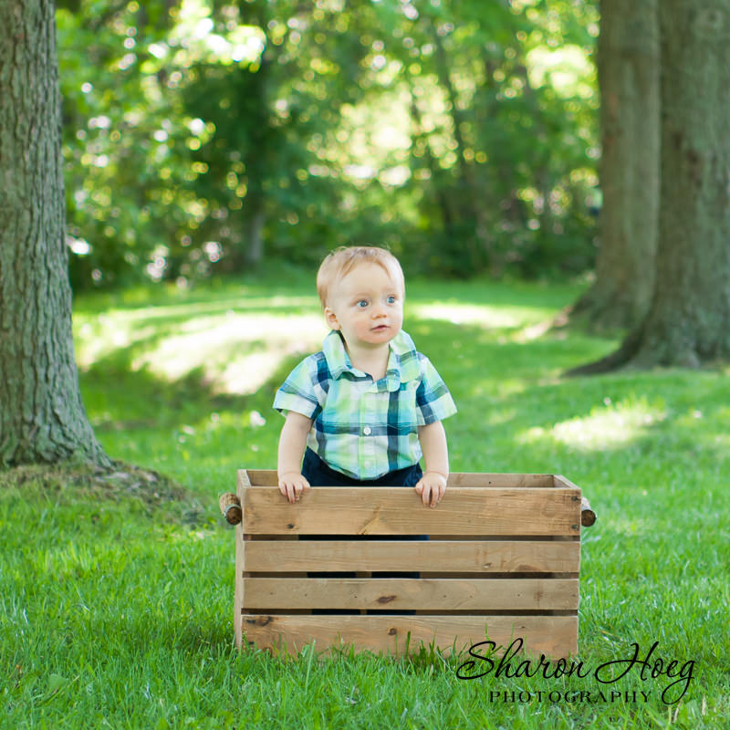 one year old boy in plaid standing in a crate, Livonia Child Photographer