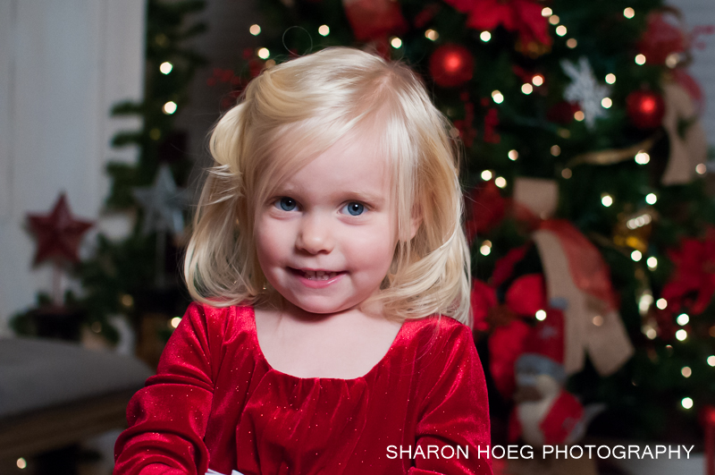 Northville Christmas Photography, young girl in red holiday dress