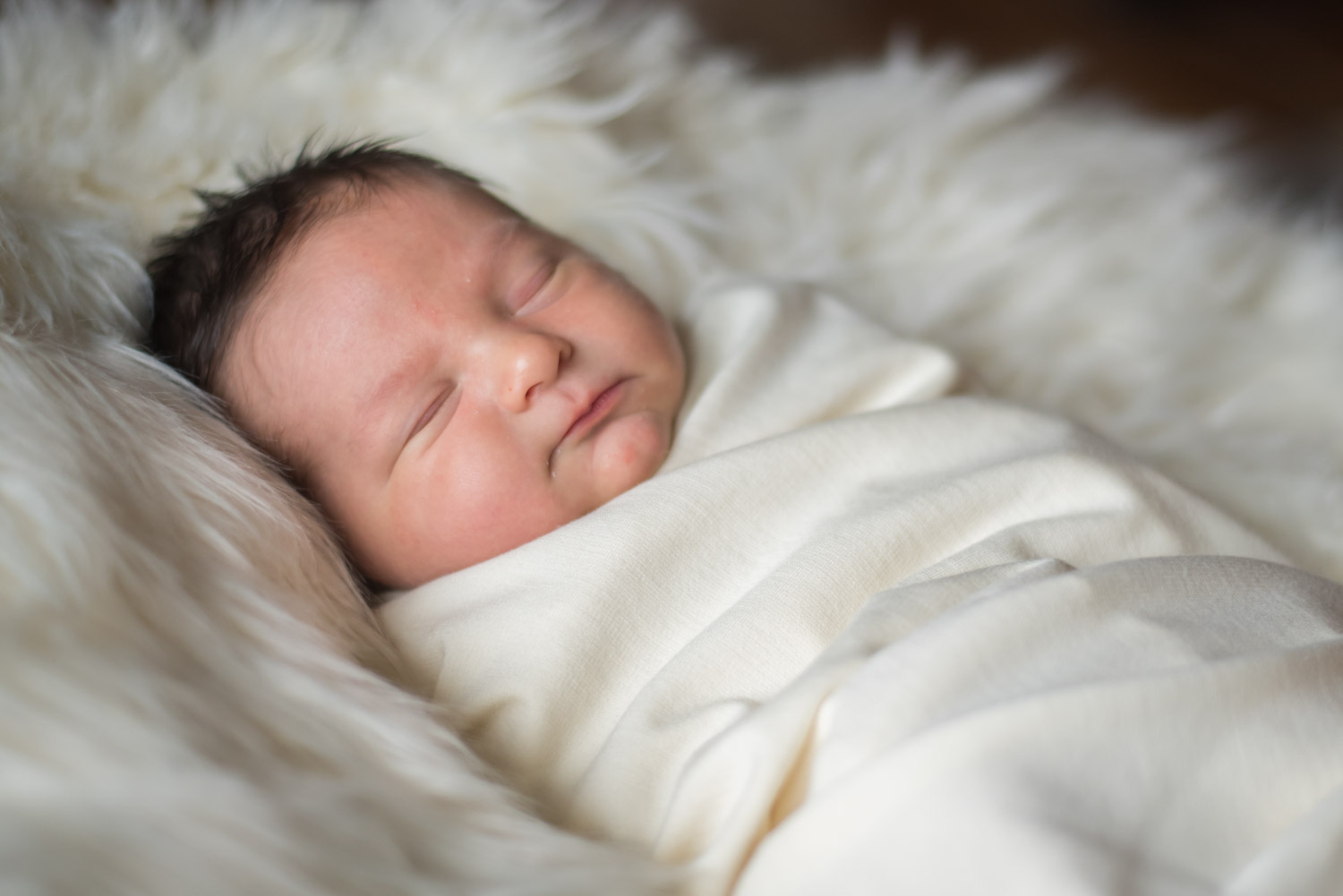Newborn Baby Boy, South Lyon Photographer