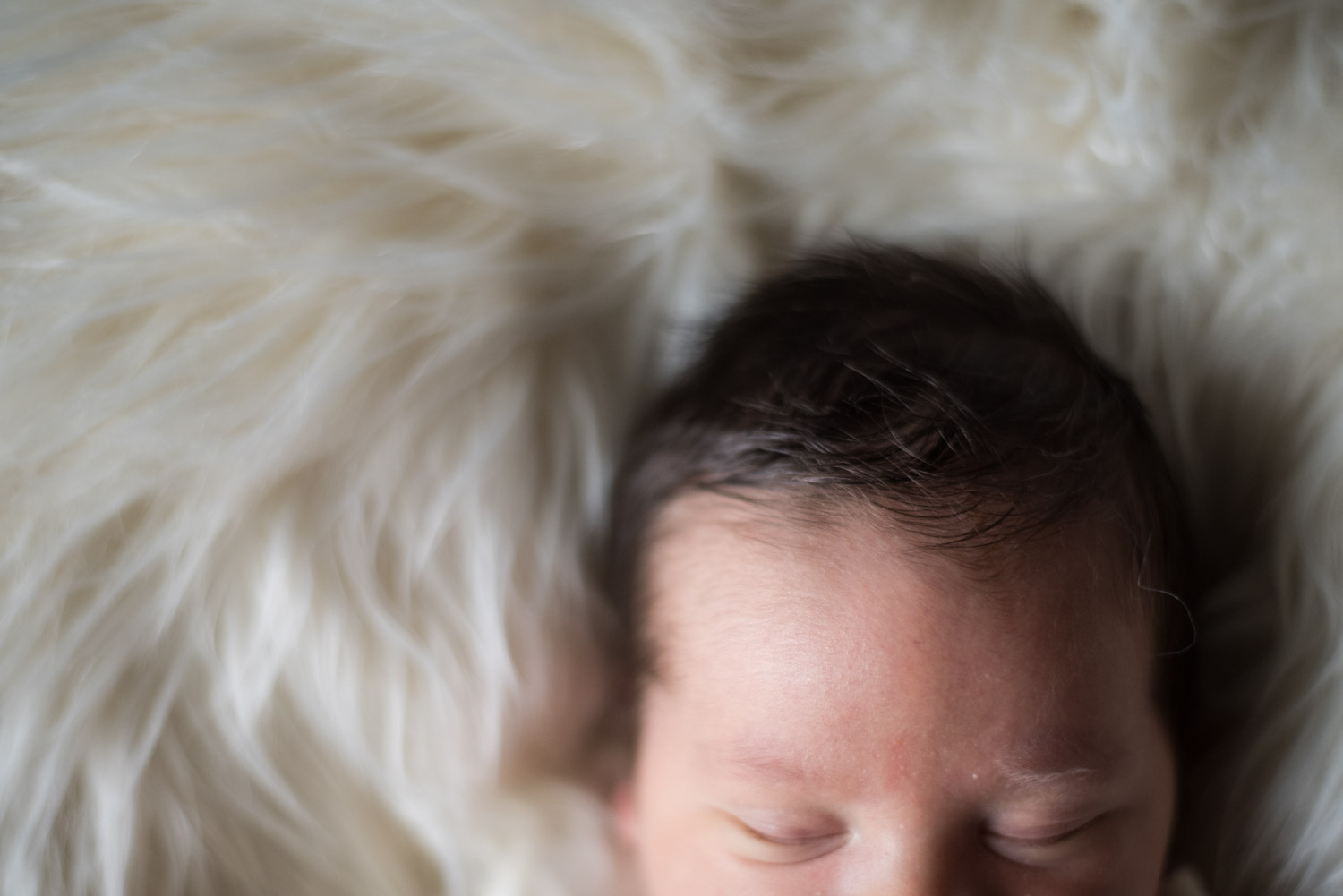 close up of newborn baby hair, South Lyon Photographer