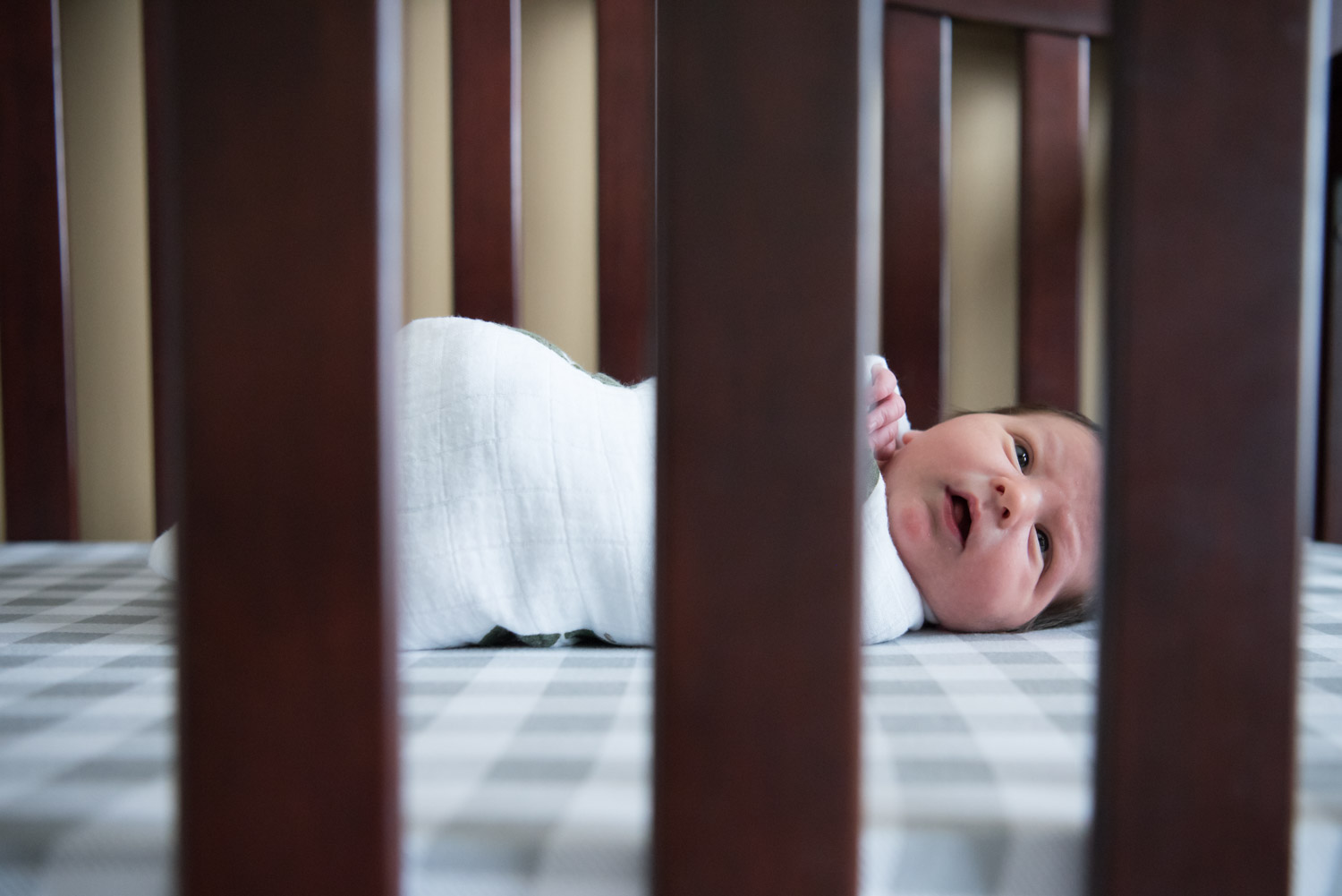 Baby in a crib, South Lyon Photographer
