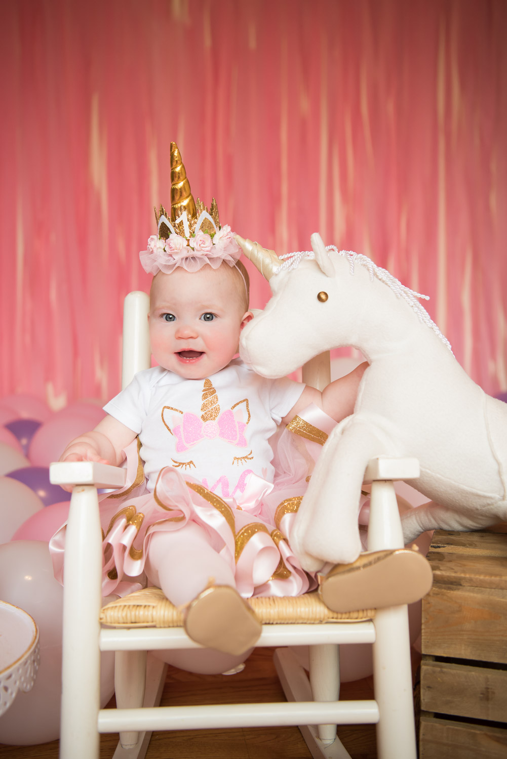 girl first birthday unicorn, Northville Photographer