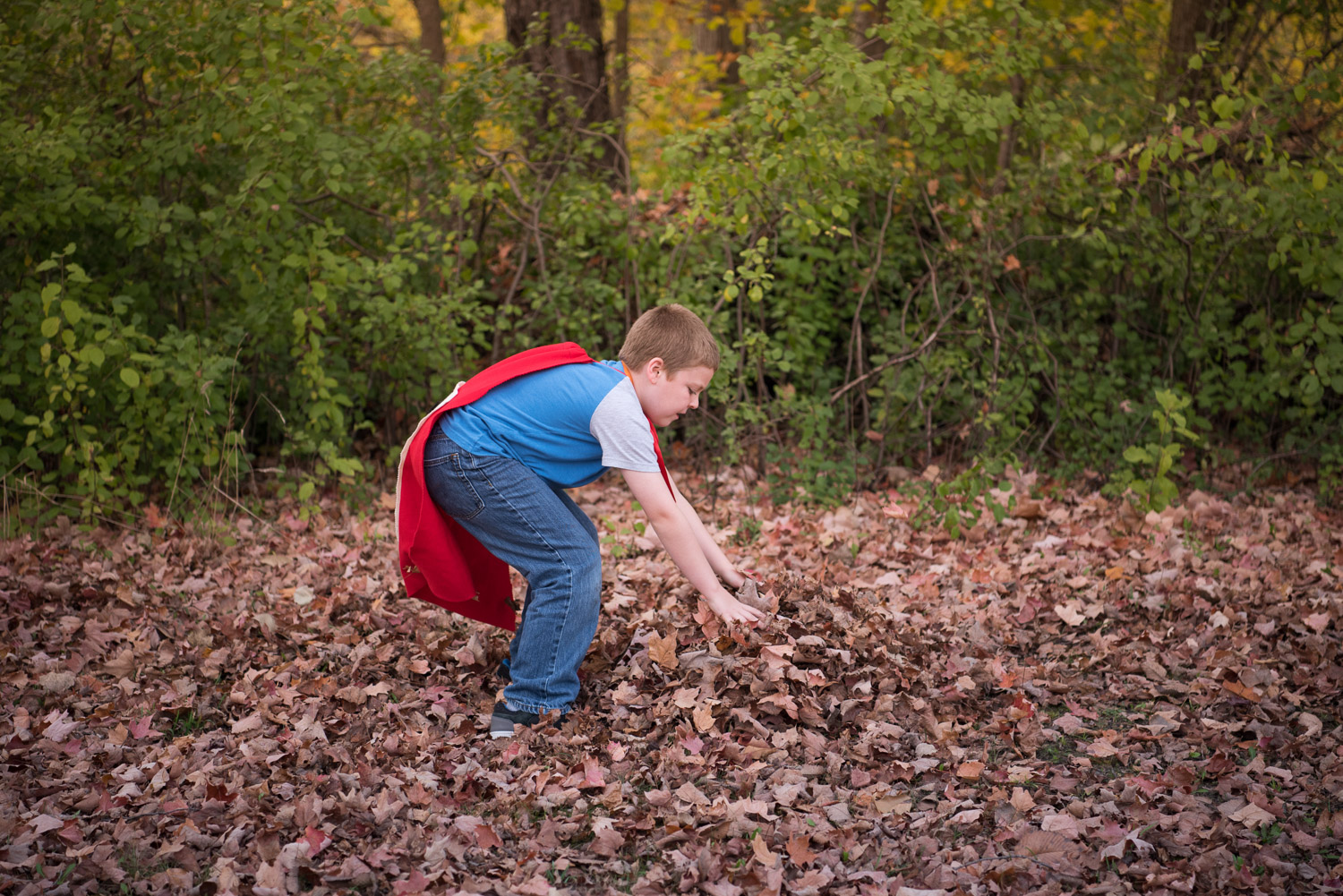 young boy building a leaf pile, livonia child photographer