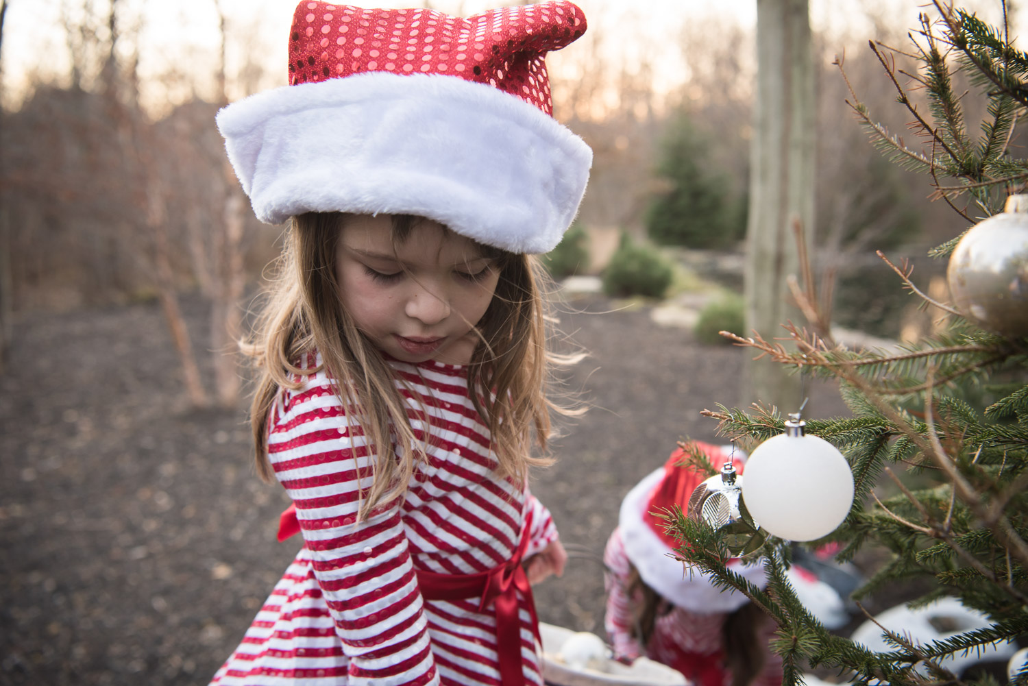 Northville Photographer Outdoor Holiday Photos Tree Decorating