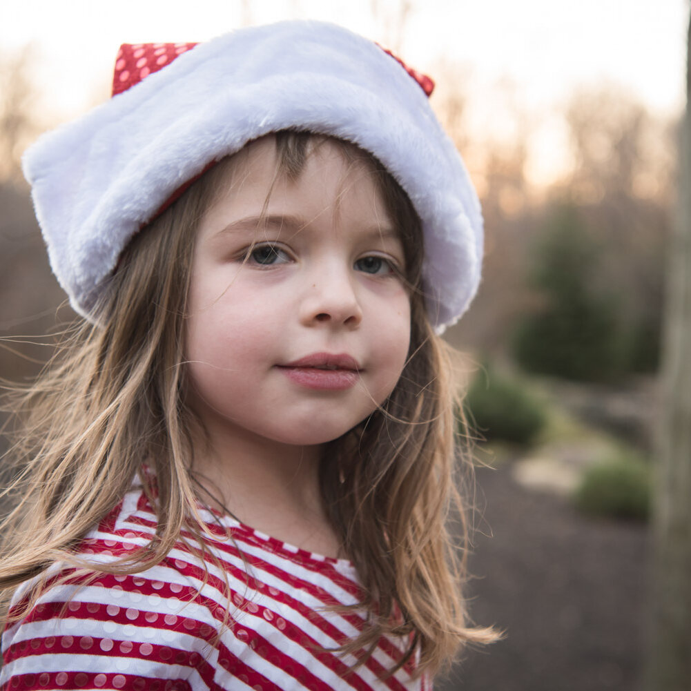 young girl in santa hat, Northville MI Photographer