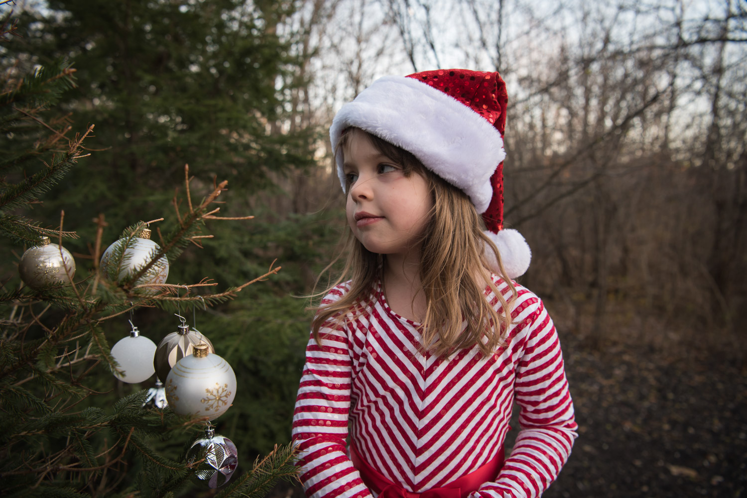 Metro Detroit Child Photographer, santa girl decorating a tree