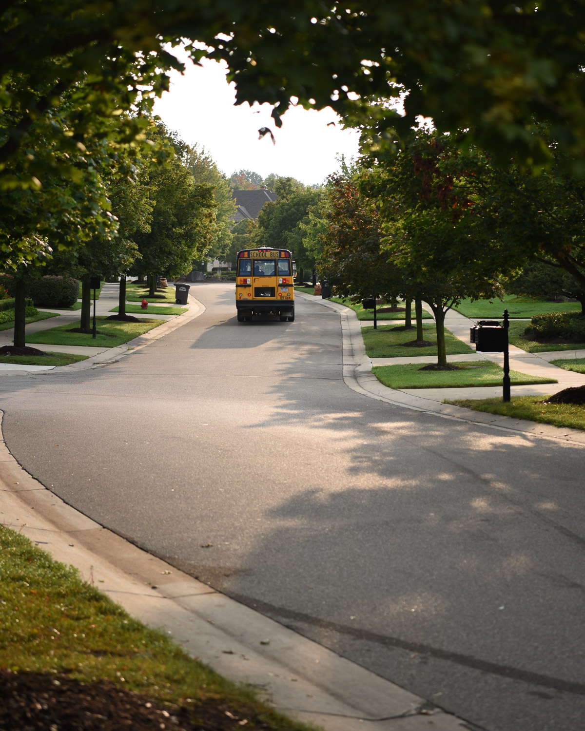 School bus heading down the street, Northville photographer