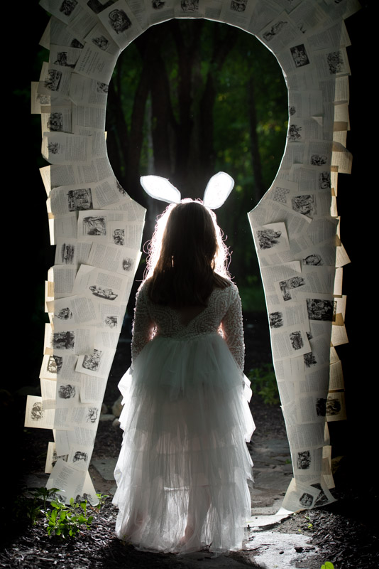 Wonderland Photoshoot, Through the Looking Glass, South Lyon Child Photographer